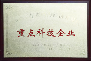 鼎业重点科技企业证书