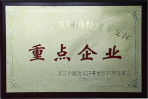 鼎业重点企业证书
